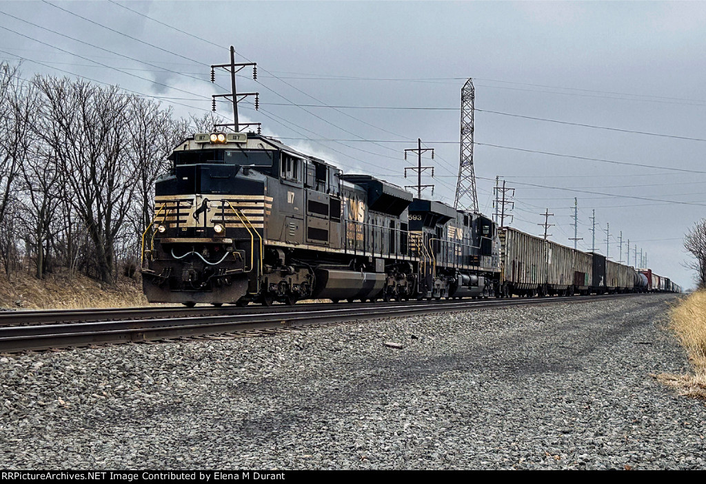 NS 1117 on 11K